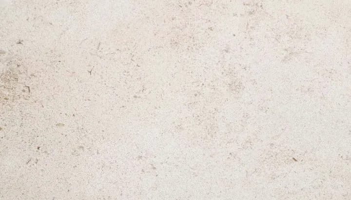Rustic cream limestone showing shell fragments and pale veining through the bed
