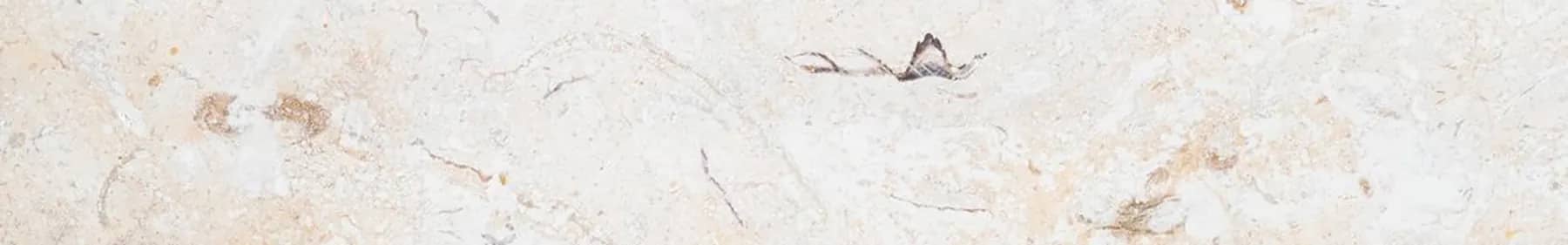 Pale limestone surface with an even calcareous tone and no directional veining